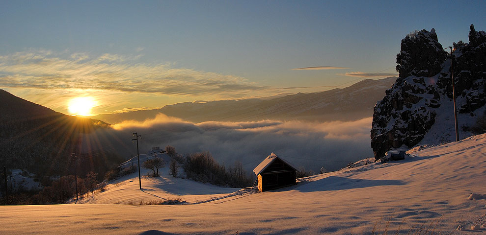 Immagine 1
